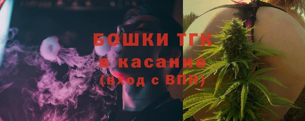 гашик Новодвинск