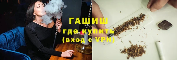 гашик Новодвинск