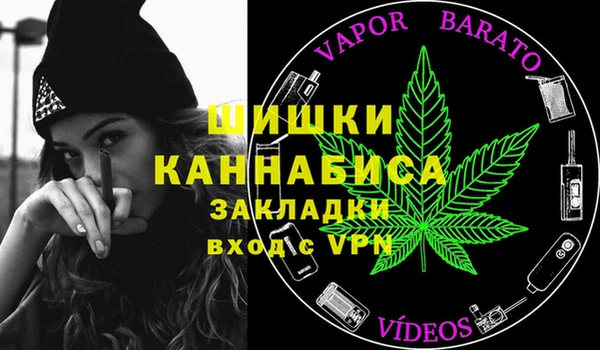 первитин Новозыбков