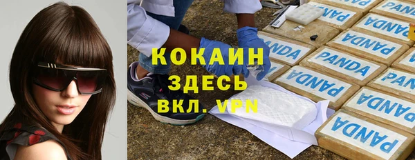 гашик Новодвинск
