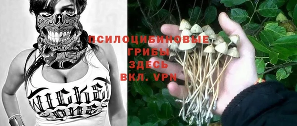 гашик Новодвинск