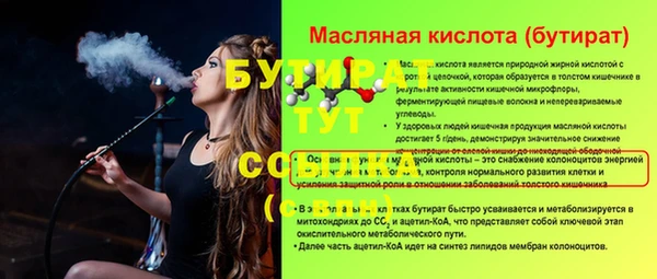 гашик Новодвинск