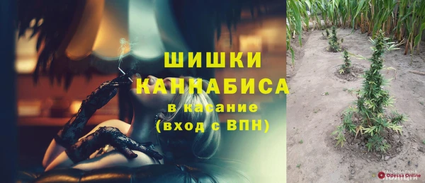 первитин Новозыбков