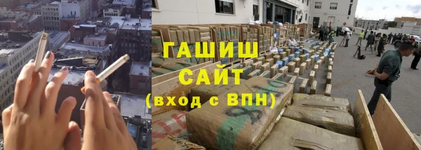 гашик Новодвинск