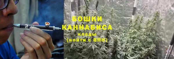 гашик Новодвинск