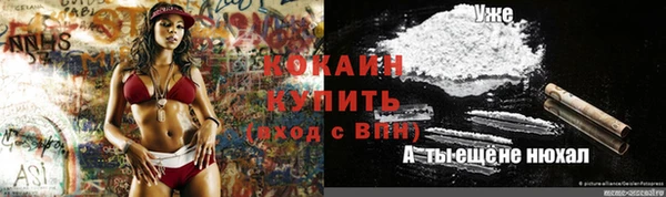 гашик Новодвинск
